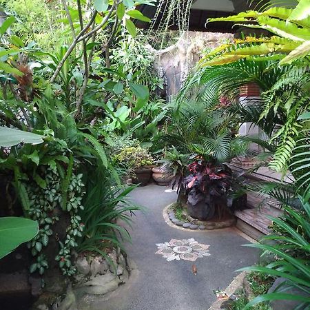 Praety Home Stay Ubud Zewnętrze zdjęcie