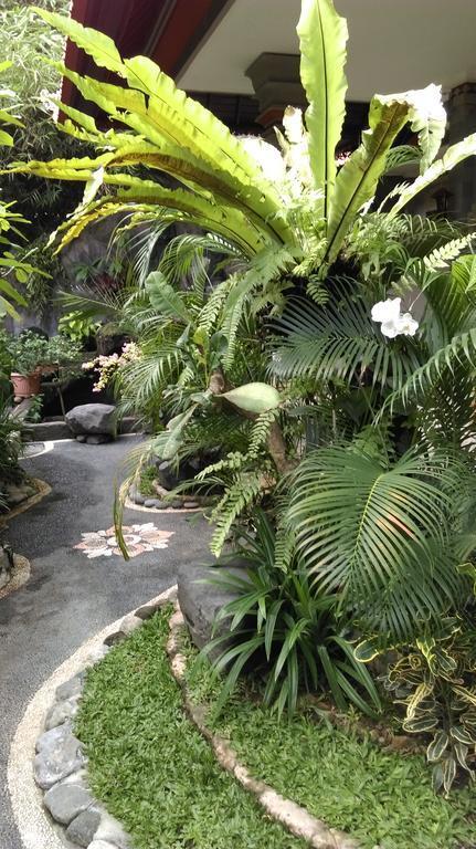 Praety Home Stay Ubud Zewnętrze zdjęcie